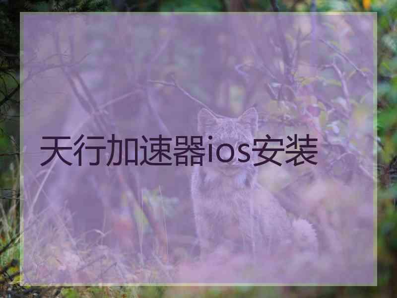 天行加速器ios安装