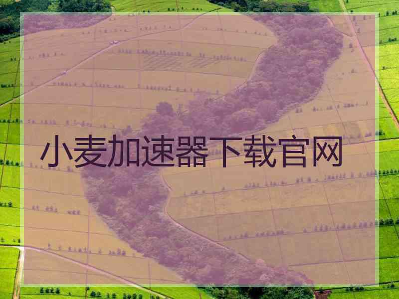 小麦加速器下载官网