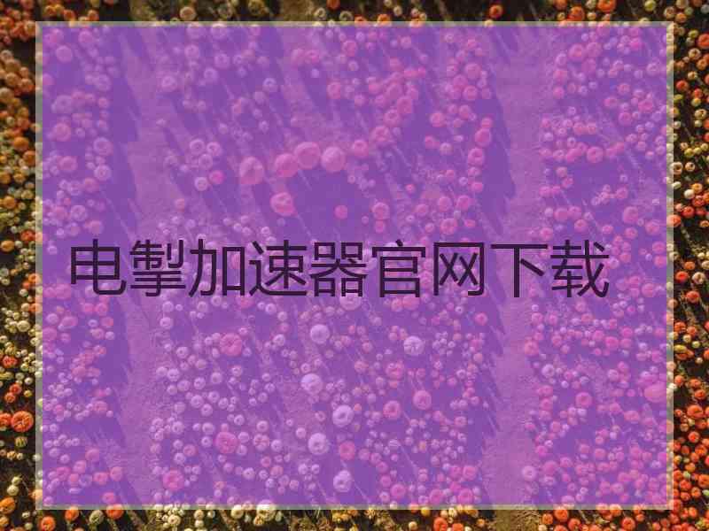 电掣加速器官网下载