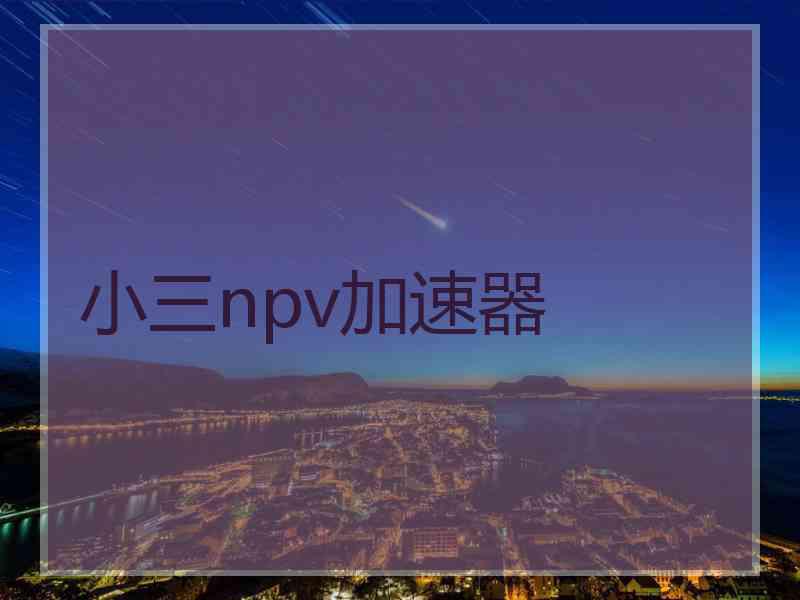 小三npv加速器