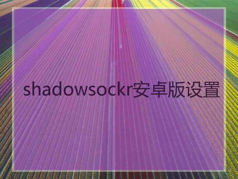 shadowsockr安卓版设置