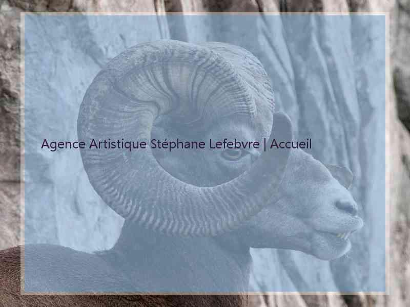 Agence Artistique Stéphane Lefebvre | Accueil