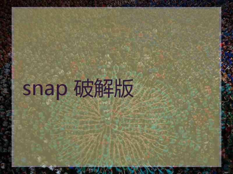 snap 破解版