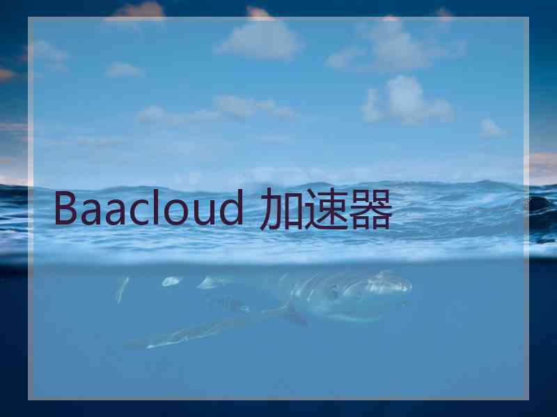 Baacloud 加速器