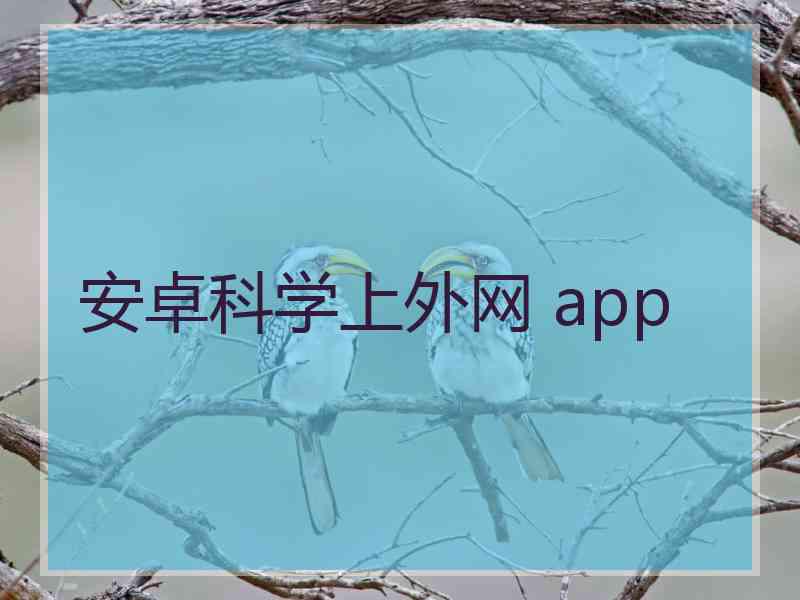 安卓科学上外网 app