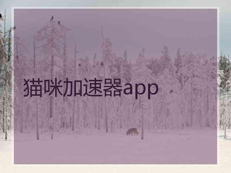 猫咪加速器app