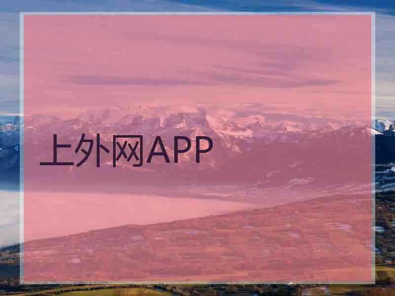 上外网APP