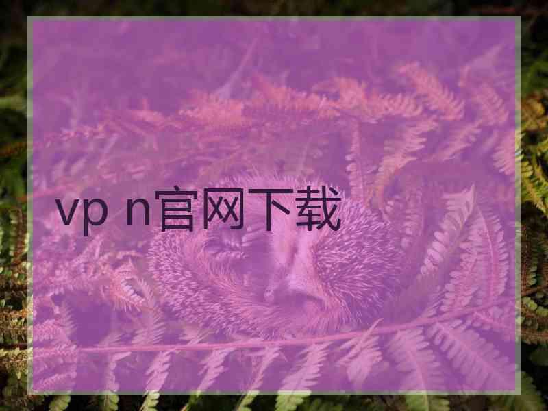 vp n官网下载