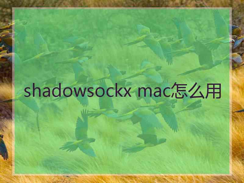 shadowsockx mac怎么用