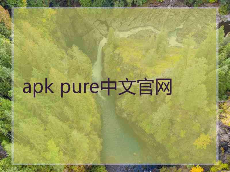 apk pure中文官网