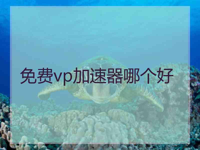 免费vp加速器哪个好