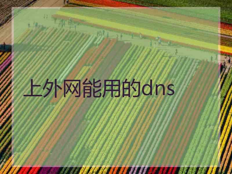 上外网能用的dns