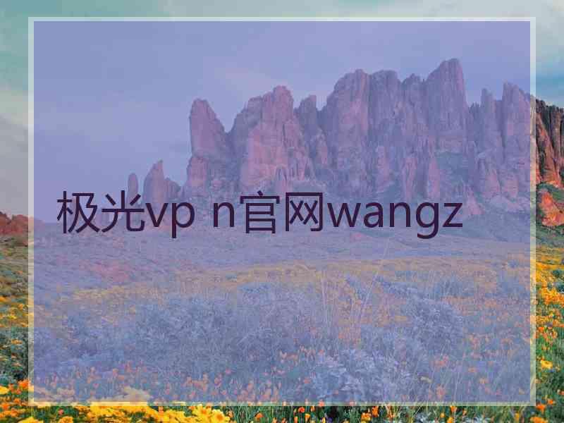 极光vp n官网wangz