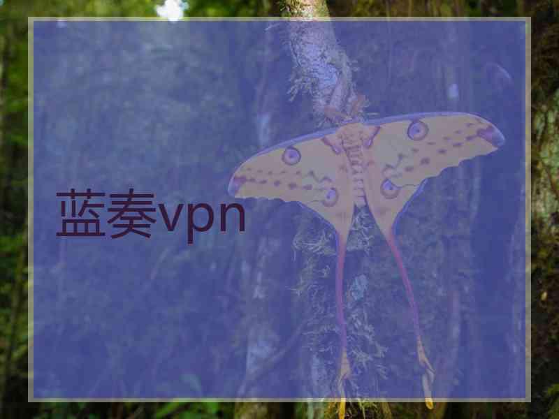 蓝奏vpn