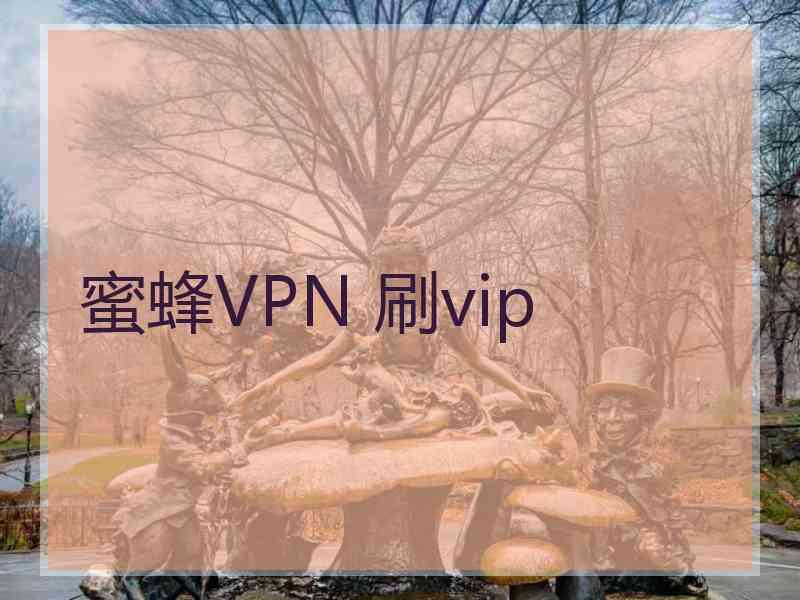 蜜蜂VPN 刷vip