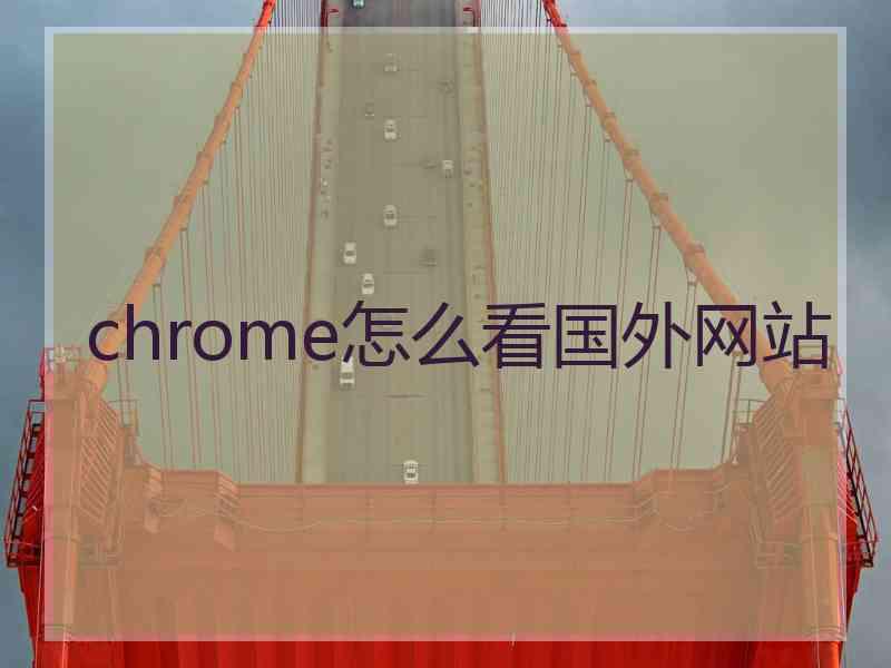 chrome怎么看国外网站