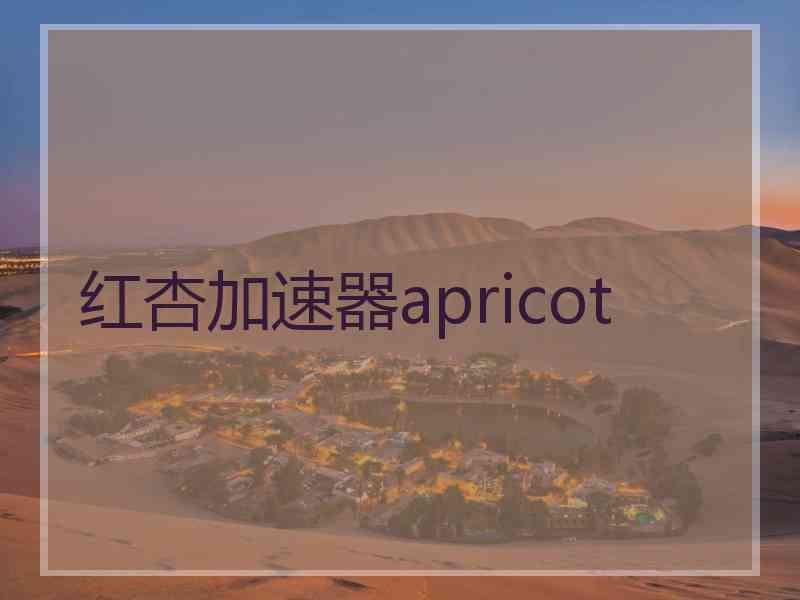 红杏加速器apricot