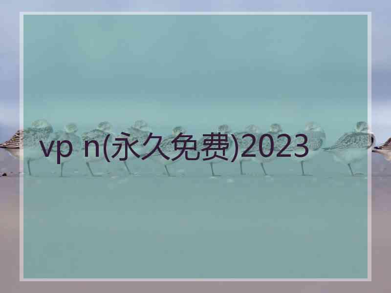 vp n(永久免费)2023