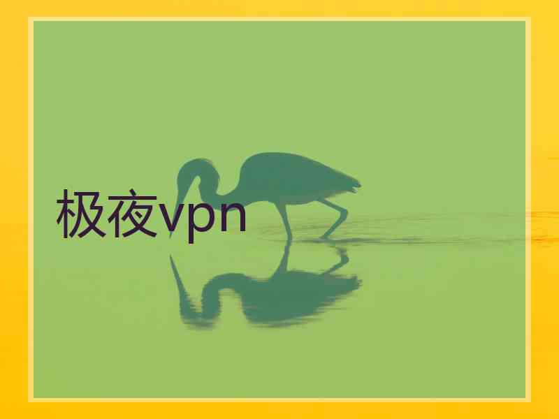 极夜vpn