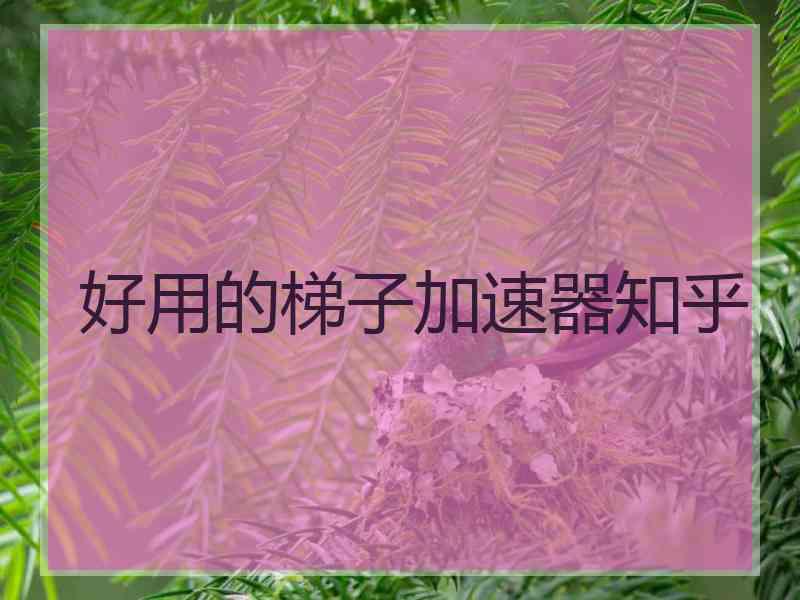 好用的梯子加速器知乎