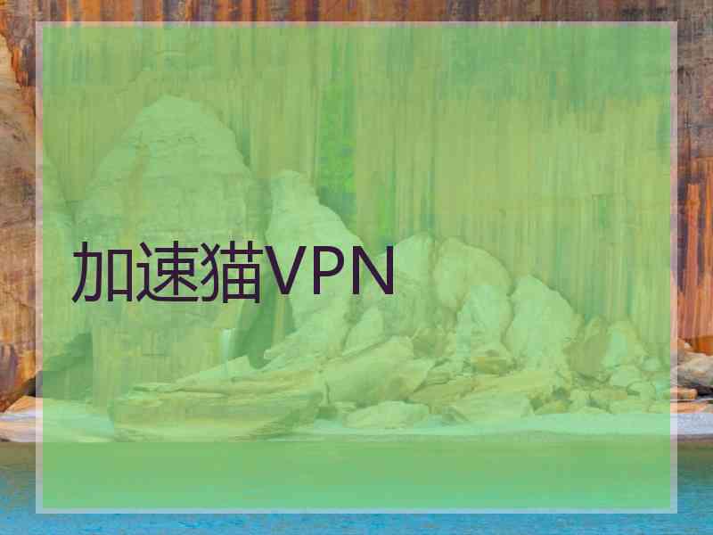 加速猫VPN