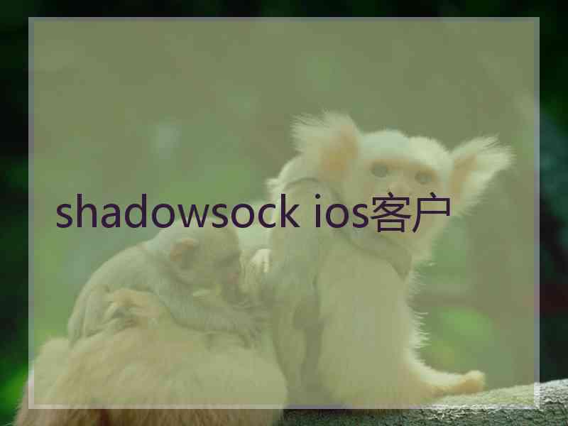 shadowsock ios客户