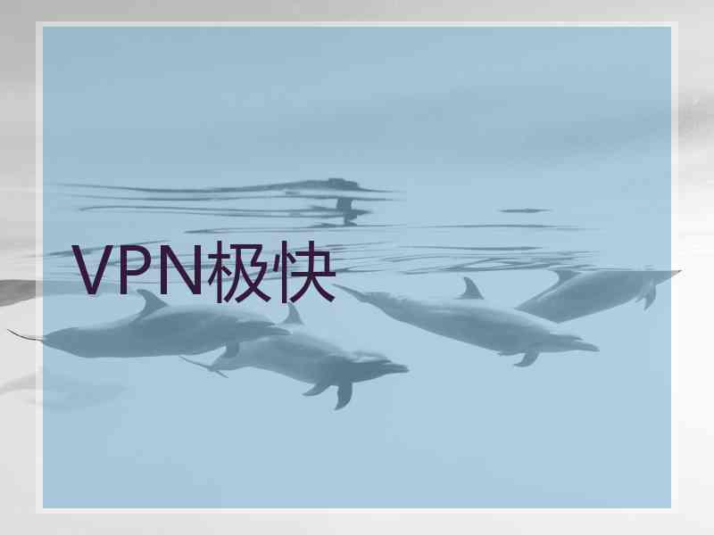 VPN极快