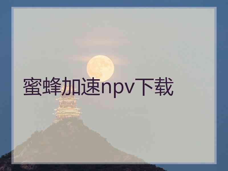 蜜蜂加速npv下载