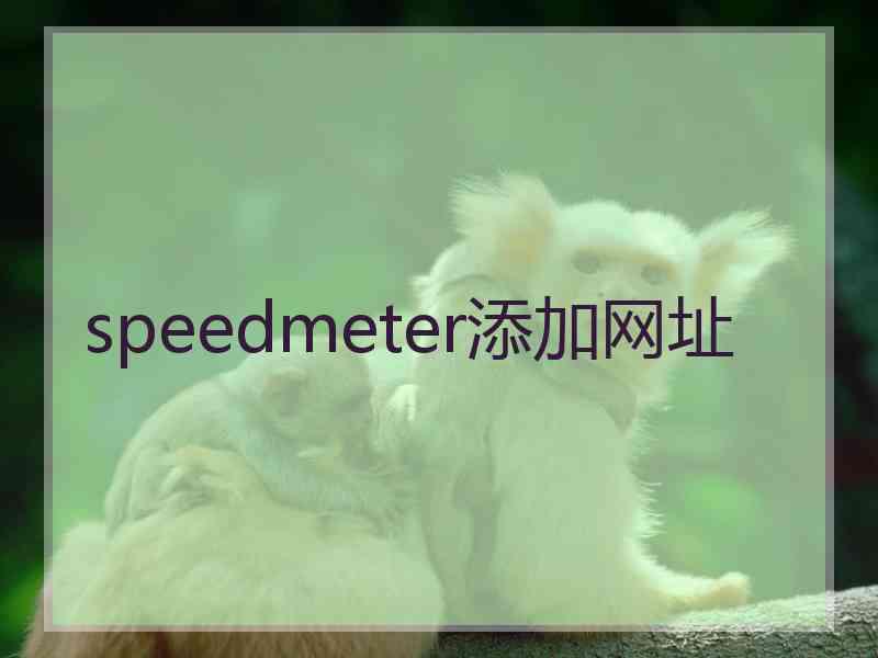 speedmeter添加网址