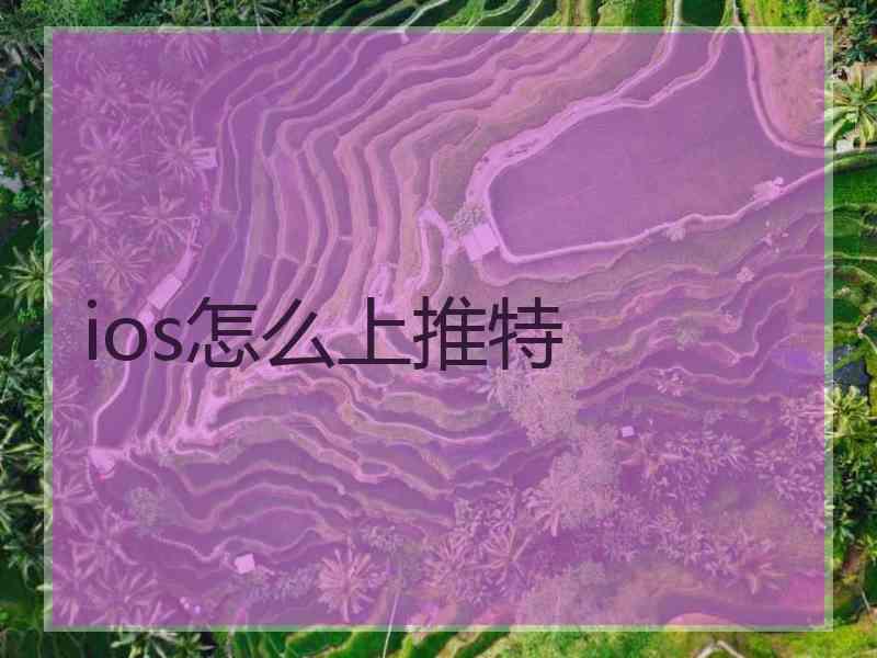 ios怎么上推特