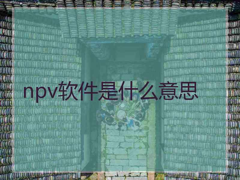 npv软件是什么意思