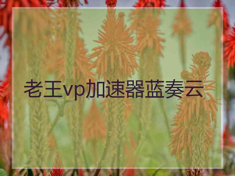 老王vp加速器蓝奏云