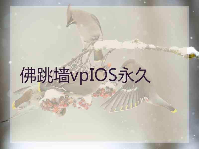 佛跳墙vpIOS永久