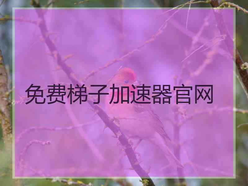 免费梯子加速器官网