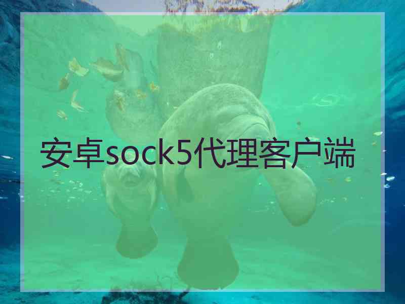 安卓sock5代理客户端