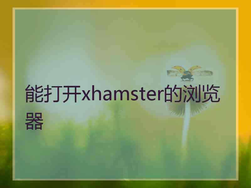 能打开xhamster的浏览器