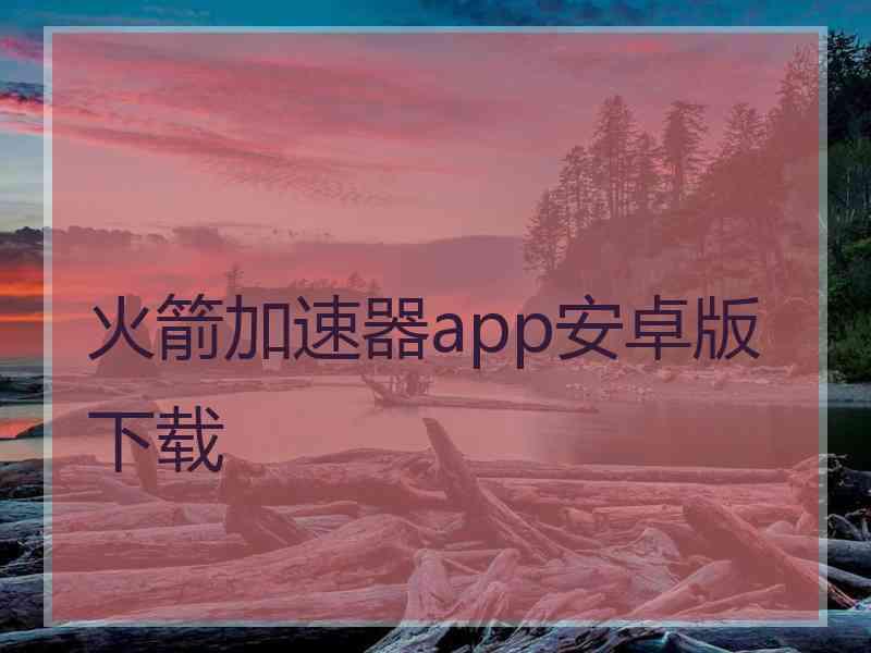 火箭加速器app安卓版下载