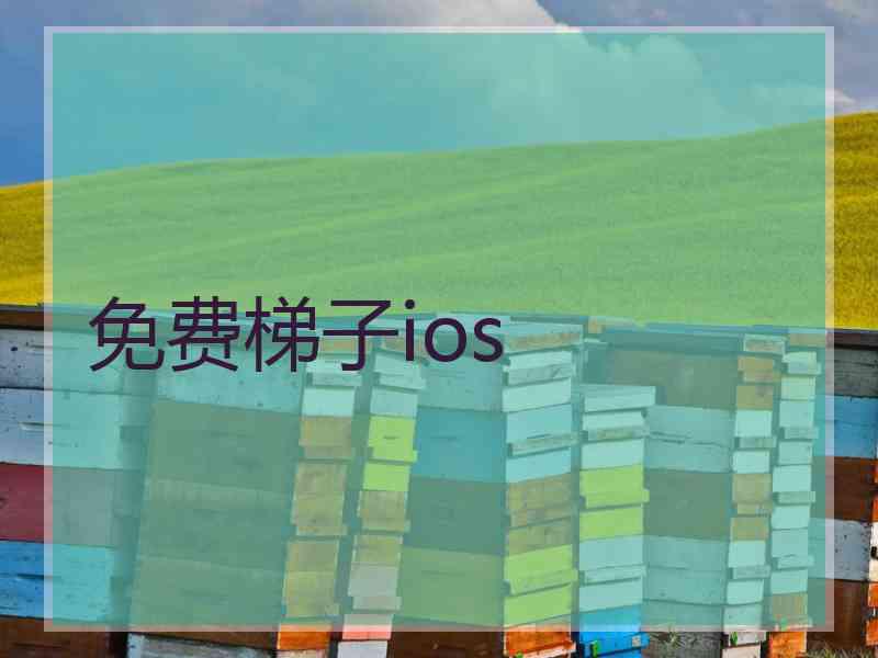 免费梯子ios