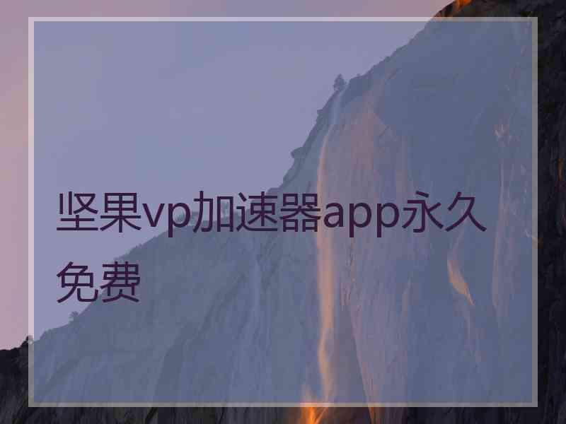 坚果vp加速器app永久免费