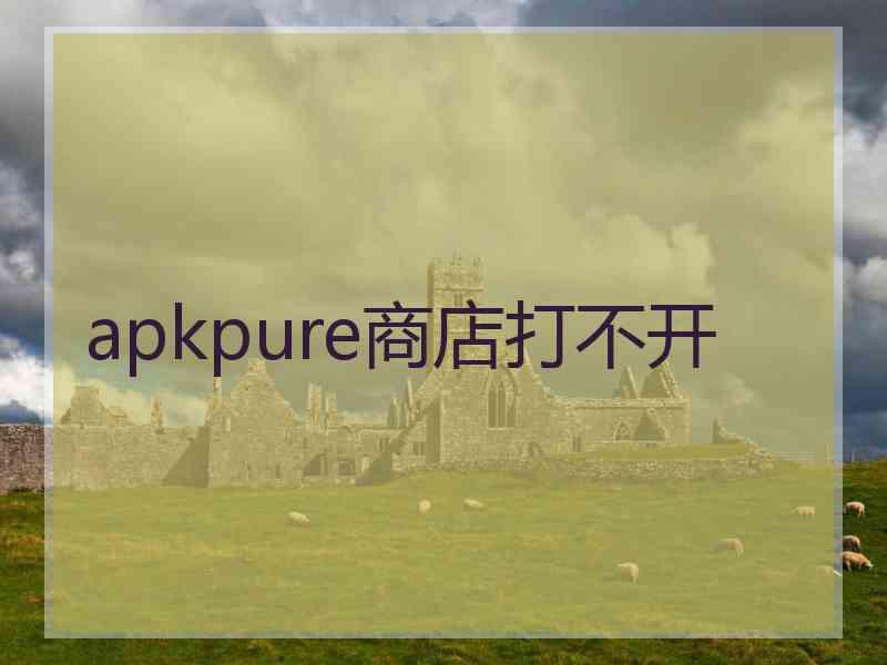 apkpure商店打不开