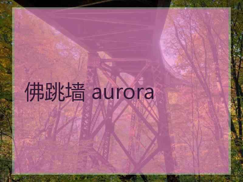 佛跳墙 aurora