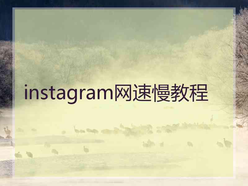 instagram网速慢教程