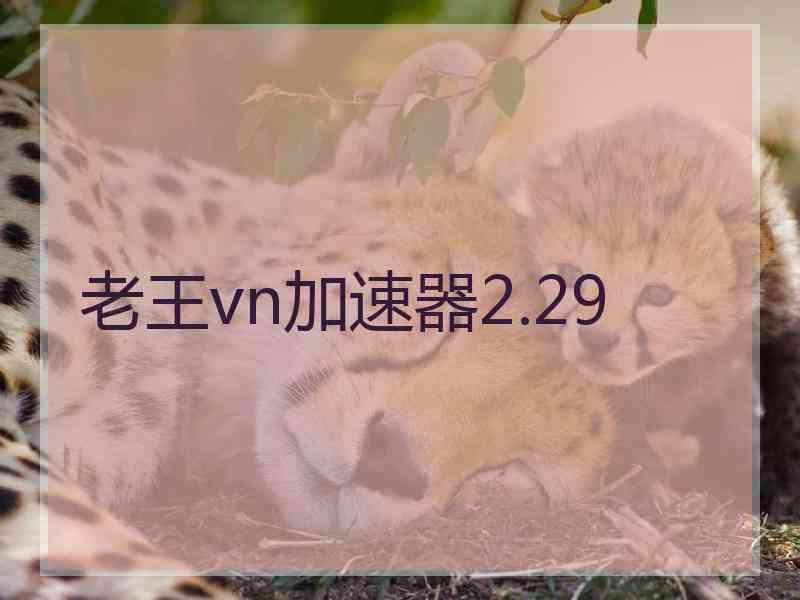 老王vn加速器2.29