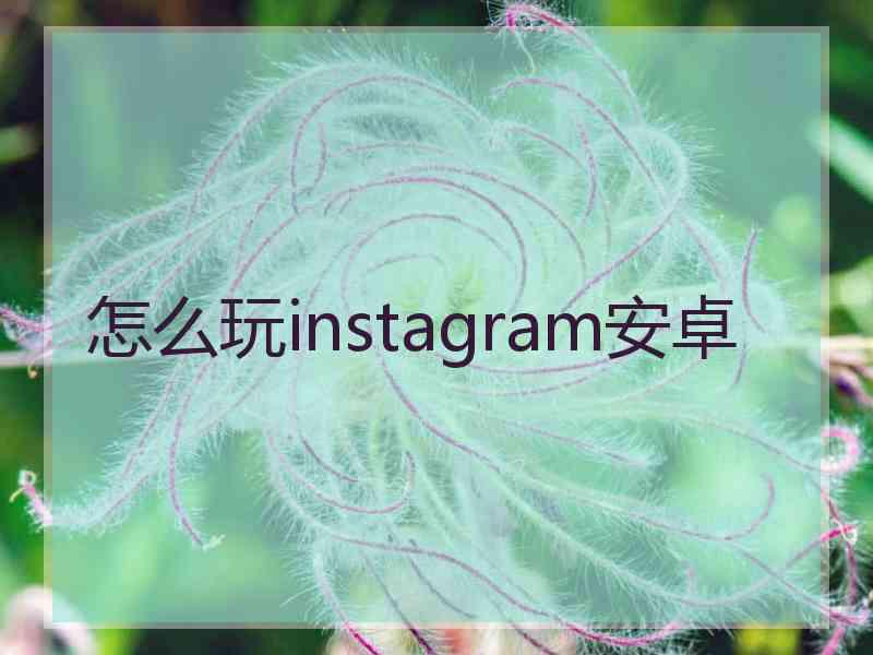 怎么玩instagram安卓