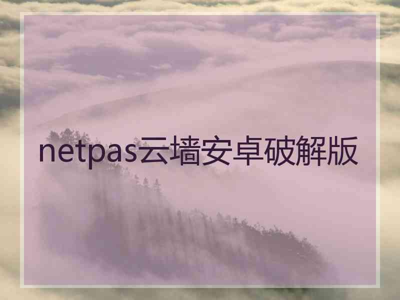 netpas云墙安卓破解版