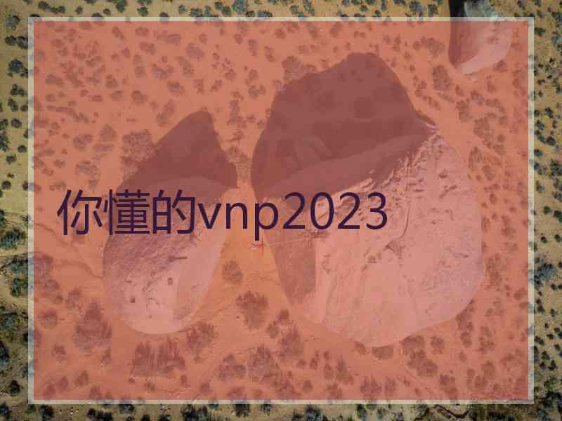 你懂的vnp2023