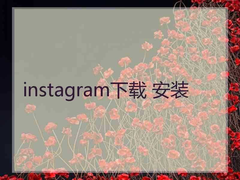 instagram下载 安装