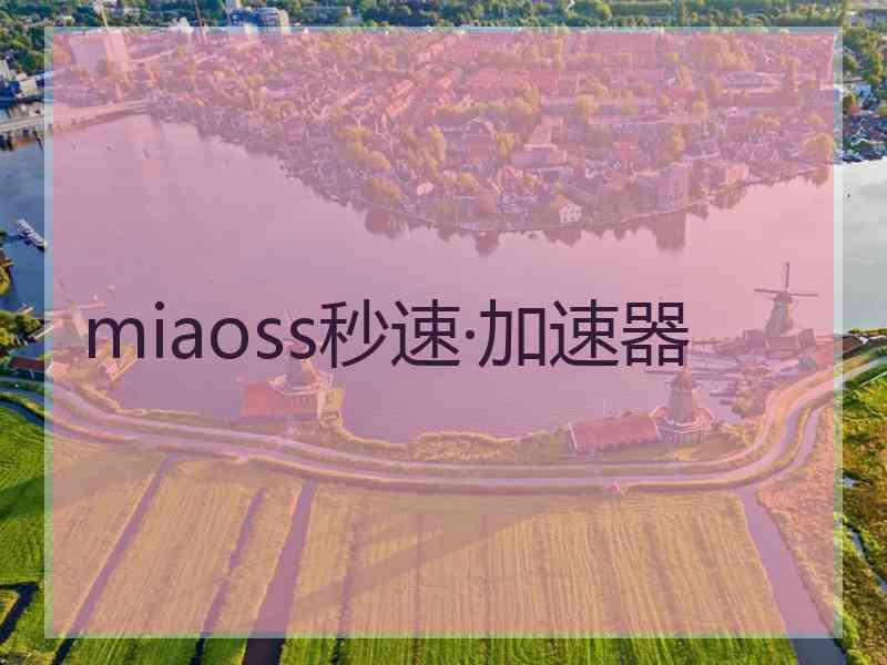 miaoss秒速·加速器