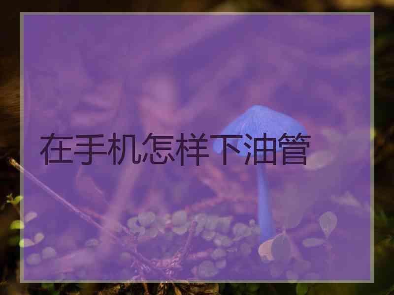 在手机怎样下油管