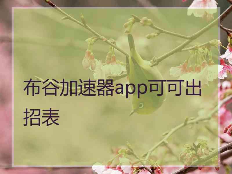 布谷加速器app可可出招表